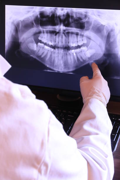 Best Emergency X-Rays and Diagnostics in Marion, NC