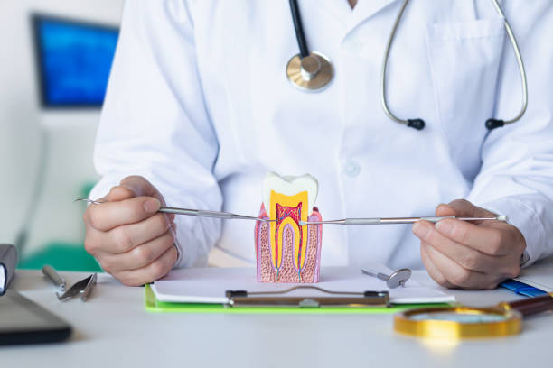 Best Emergency Pediatric Dental Care in Marion, NC